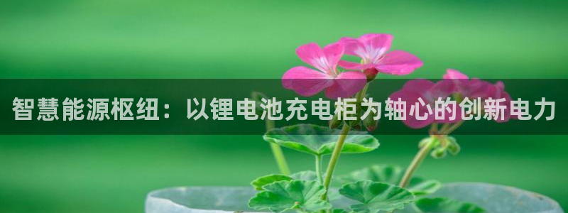 tp钱包怎么解除授权