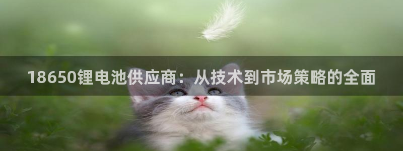 tp钱包可以提现人民币吗安全吗