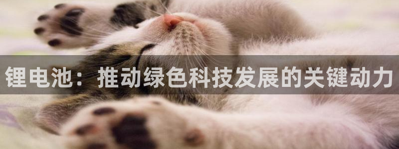 tp钱包官方网下载安装