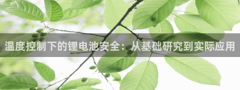 tp钱包查看交易记录