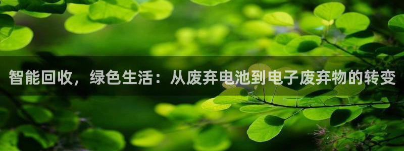 怎么添加观察钱包tp