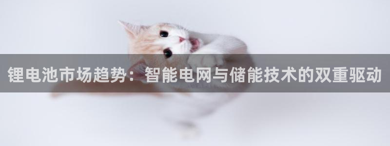 tp观察钱包怎么创建冷钱包