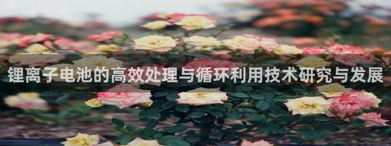 tp观察钱包怎么和冷钱包联动
