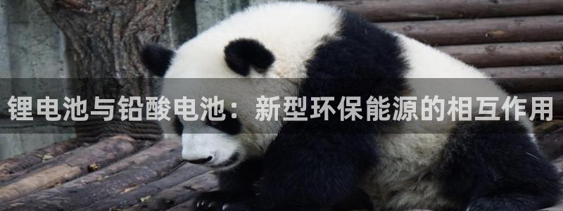 tp钱包怎么创建bsc