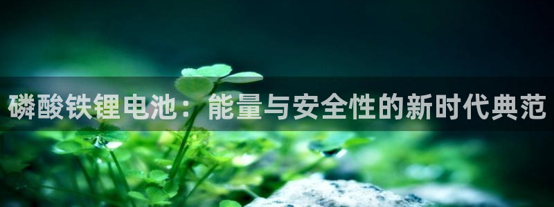 tp钱包转链