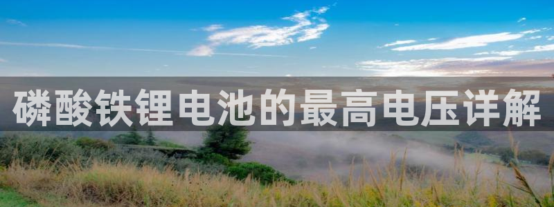 tp钱包里多了4个cat币