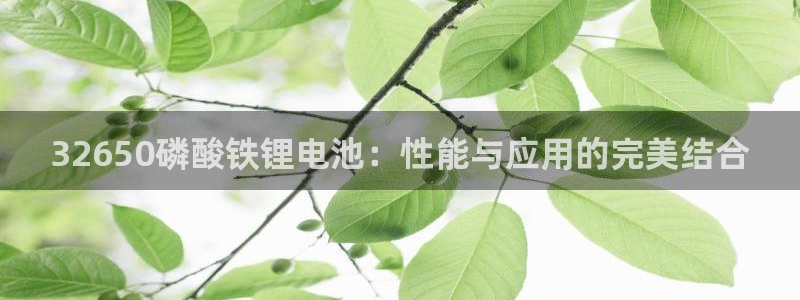 tp钱包总部在哪里
