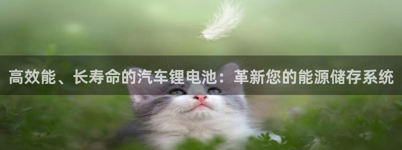 tp 钱包怎么买能量