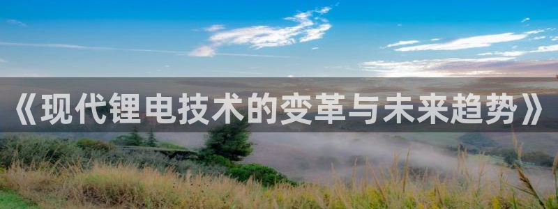 tp钱包新上的币看不到金额