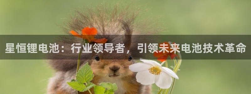 怎么下tp钱包