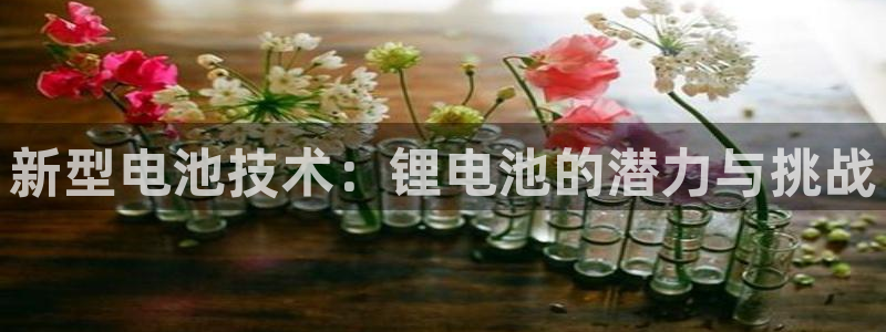 tp钱包CORE链怎么添加合约地址