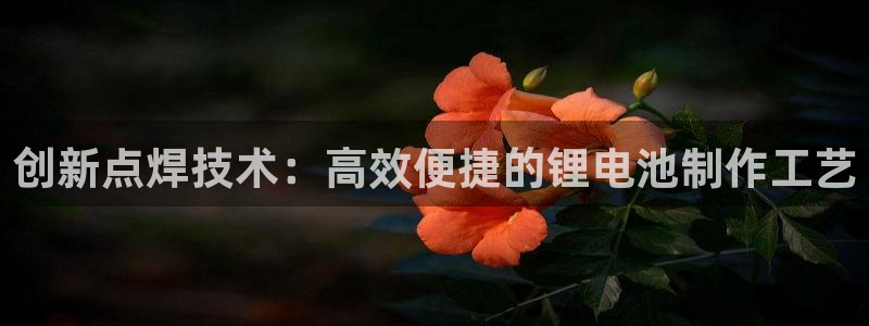 tp官网钱包网址