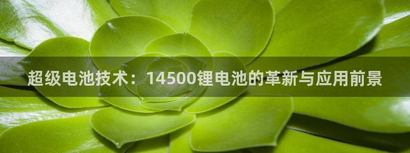 tp钱包下载打不开网页