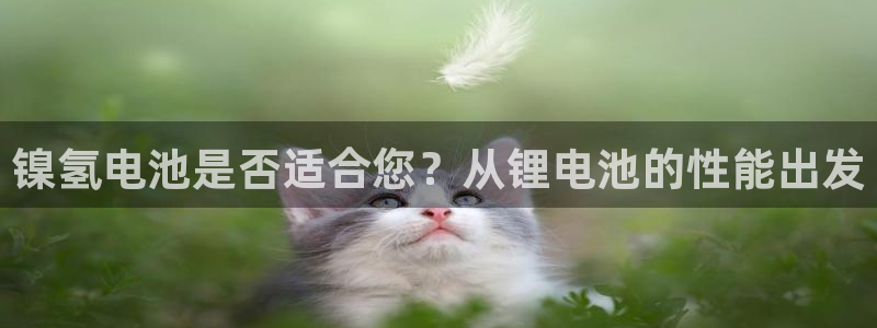 tp钱包提币多久到账