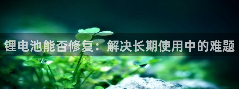 tp钱包提币到交易所