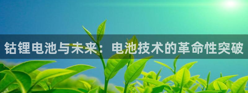 tp钱包bnb手续费