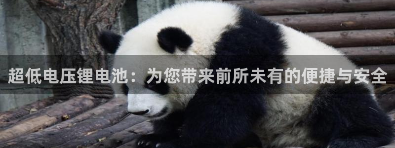 tplus下载