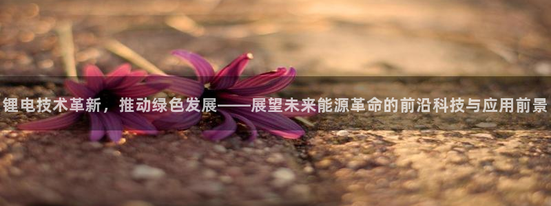 TP钱包dapp黑屏怎么办