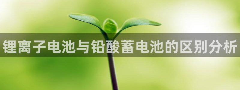 tp是什么钱包