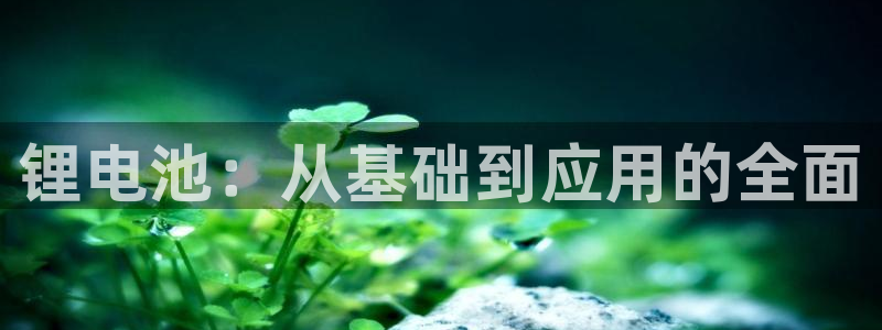 tp钱包ios官网下载