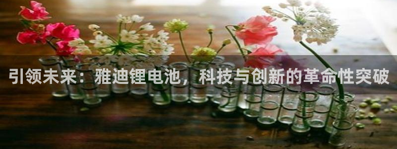 tp钱包提币流动性不足