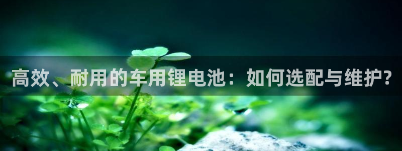tpg应用app