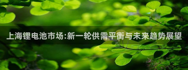 tp钱包app手机号在哪里找出来的