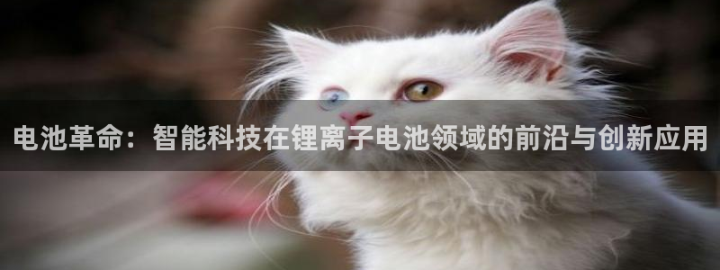 TP钱包怎么创建钱包跟充值