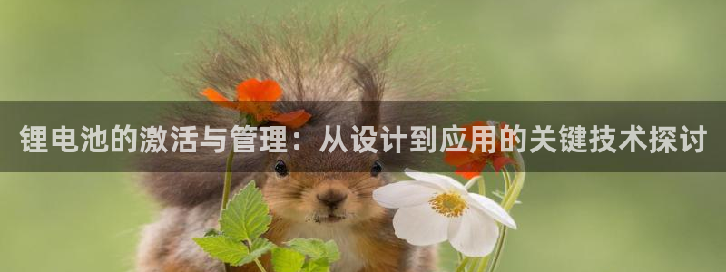 tp钱包官网下载app最新版本2024