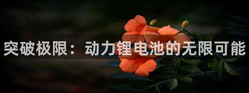 tp钱包官方安卓最新版本