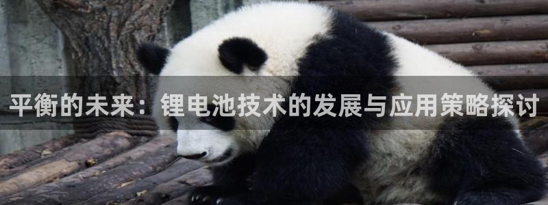 苹果手机tp钱包下载不了