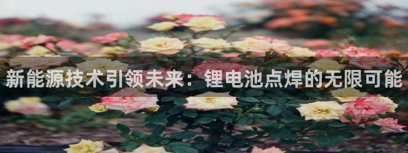 tpapanna官网