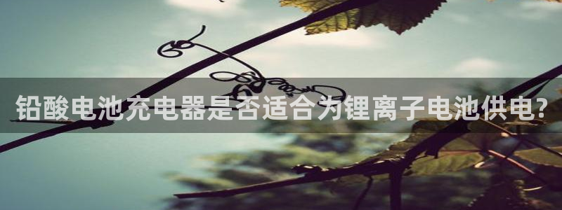 tp钱包客服怎么找