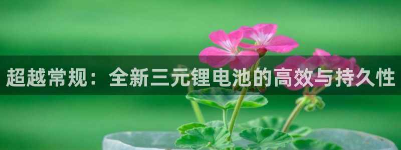 tp钱包下载流程