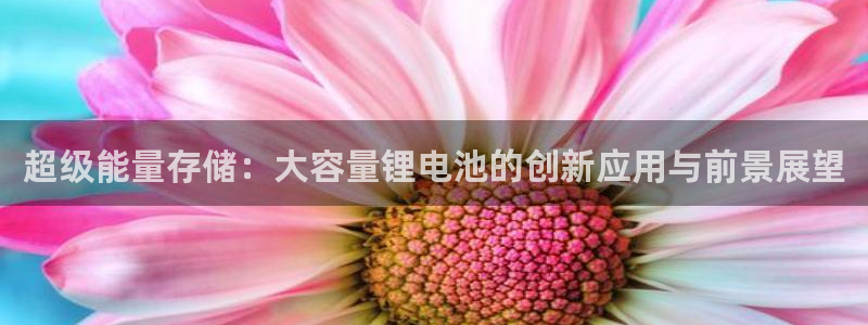 tp钱包的dapp