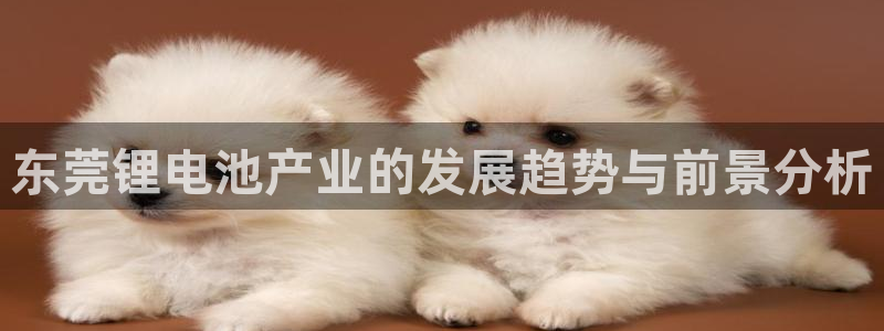tp钱包eth转bsc