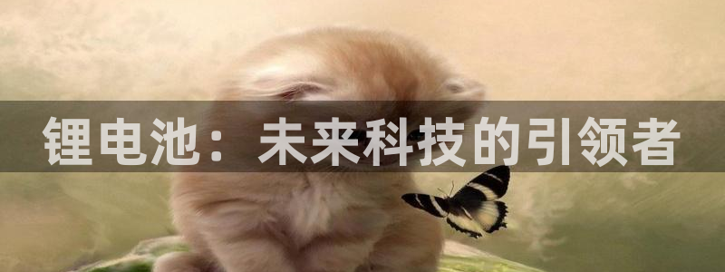 tp钱包转账没到账