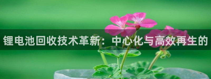 tp钱包诈骗手段