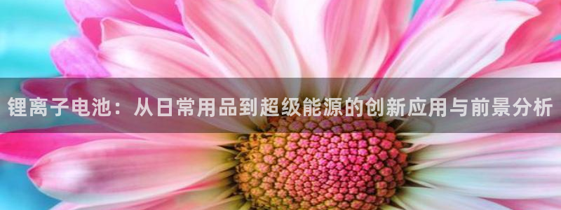 tp钱包怎么改成人民币